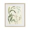Stupell Industries Soft Snowdrop Stems Framed Print Under Glass, design by June Erica Vess